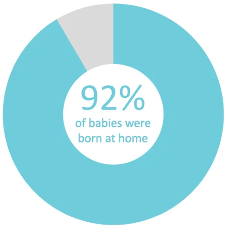 Twin Cities Midwifery’s Cesarean Rate and other Statistics through December 2017 Screen Shot