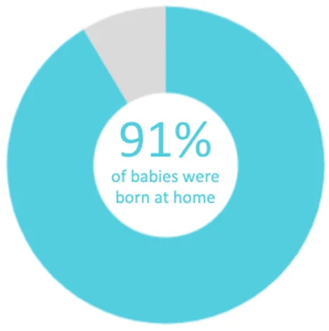 Twin Cities Midwifery’s Cesarean Rate and other Statistics through December 2018 Screen Shot