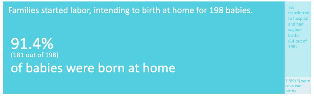 Highlights of Twin Cities Midwifery's Stats through 2018 Screen Shot