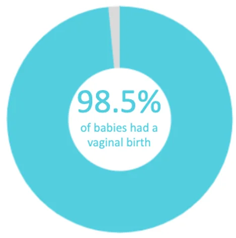 Twin Cities Midwifery’s Cesarean Rate and other Statistics through December 2018 Screen Shot