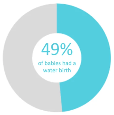 Twin Cities Midwifery’s Cesarean Rate and other Statistics through December 2018 Screen Shot
