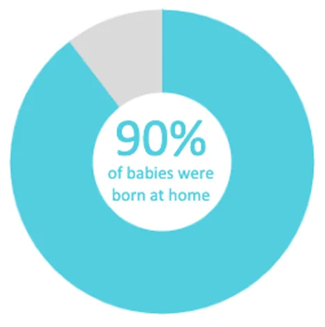 Twin Cities Midwifery’s Cesarean Rate and other Statistics through December 2019 Screen Shot