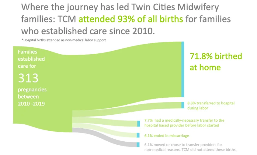 Twin Cities Midwifery’s Cesarean Rate and other Statistics through December 2019 Screen Shot