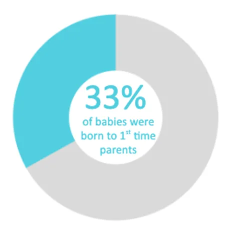 Twin Cities Midwifery’s Cesarean Rate and other Statistics through December 2020 Screen Shot