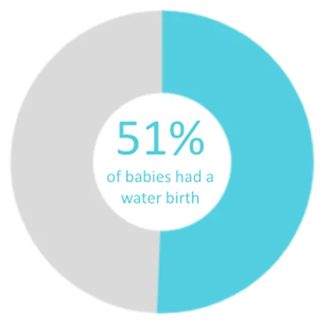 Twin Cities Midwifery’s Cesarean Rate and other Statistics through December 2020 Screen Shot