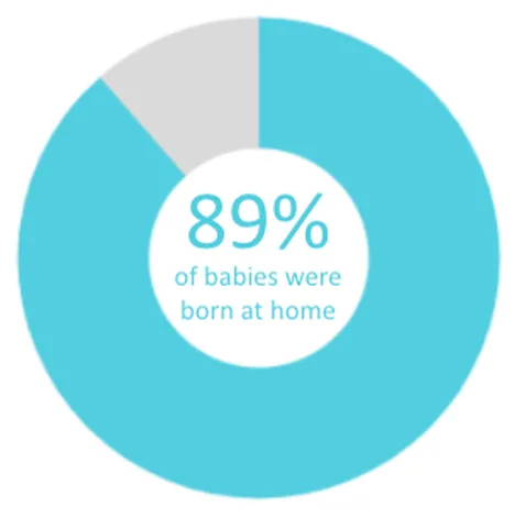 Twin Cities Midwifery’s Cesarean Rate and other Statistics through December 2020 Screen Shot