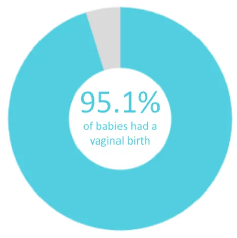 Twin Cities Midwifery’s Cesarean Rate and other Statistics through December 2020 Screen Shot