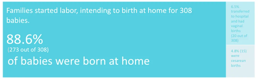 Twin Cities Midwifery’s Cesarean Rate and other Statistics through December 2020 Screen Shot