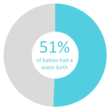 Twin Cities Midwifery’s Cesarean Rate and other Statistics through December 2021 Screen Shot