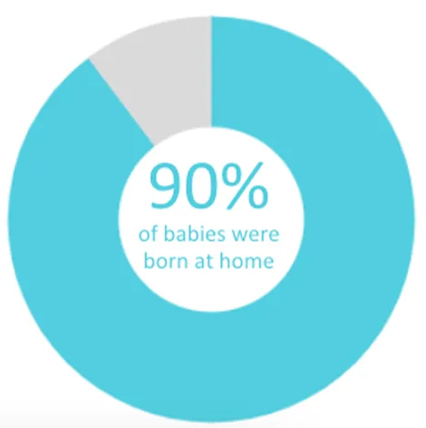 Twin Cities Midwifery’s Cesarean Rate and other Statistics through December 2021 Screen Shot