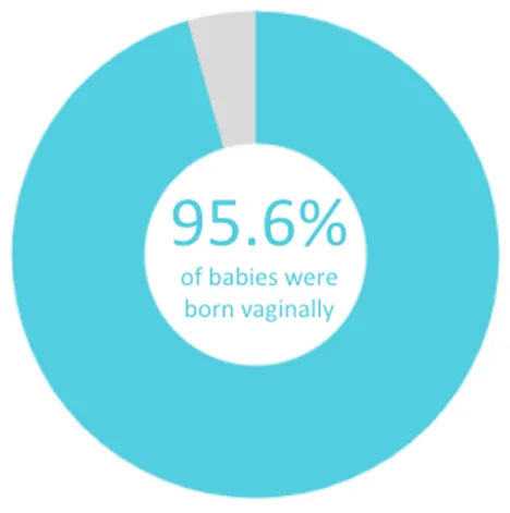 Twin Cities Midwifery’s Cesarean Rate and other Statistics through December 2021 Screen Shot