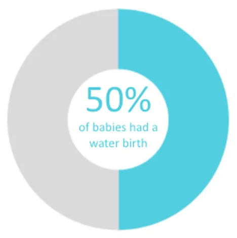 Twin Cities Midwifery’s Cesarean Rate and other Statistics through December 2022 Screen Shot