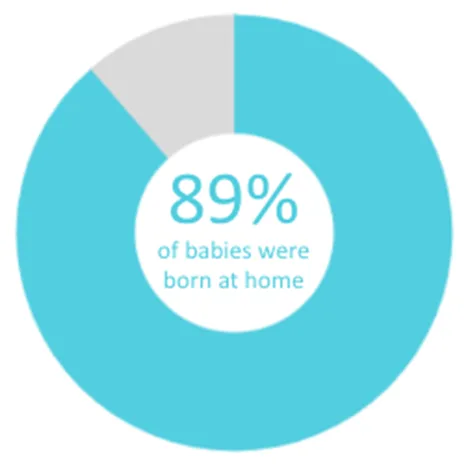 Twin Cities Midwifery’s Cesarean Rate and other Statistics through December 2022 Screen Shot
