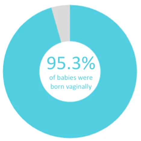 Twin Cities Midwifery’s Cesarean Rate and other Statistics through December 2022 Screen Shot
