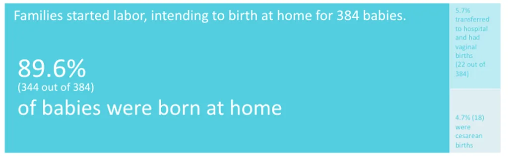 Twin Cities Midwifery’s Cesarean Rate and other Statistics through December 2022 Screen Shot