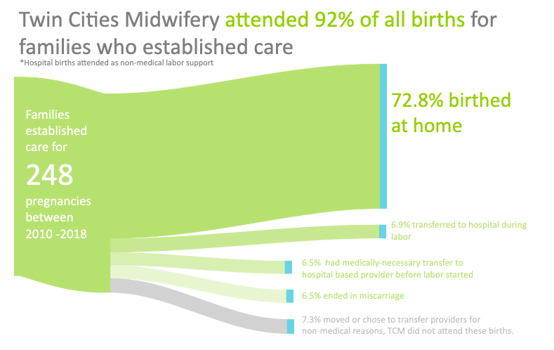Highlights of Twin Cities Midwifery's Stats through 2018 Screen Shot