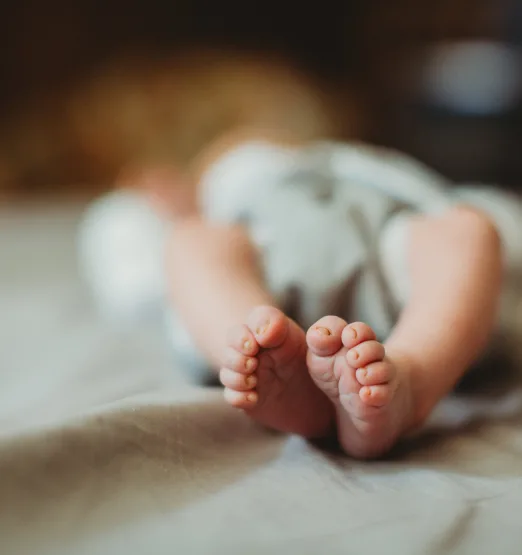What Can You Do With A Placenta?