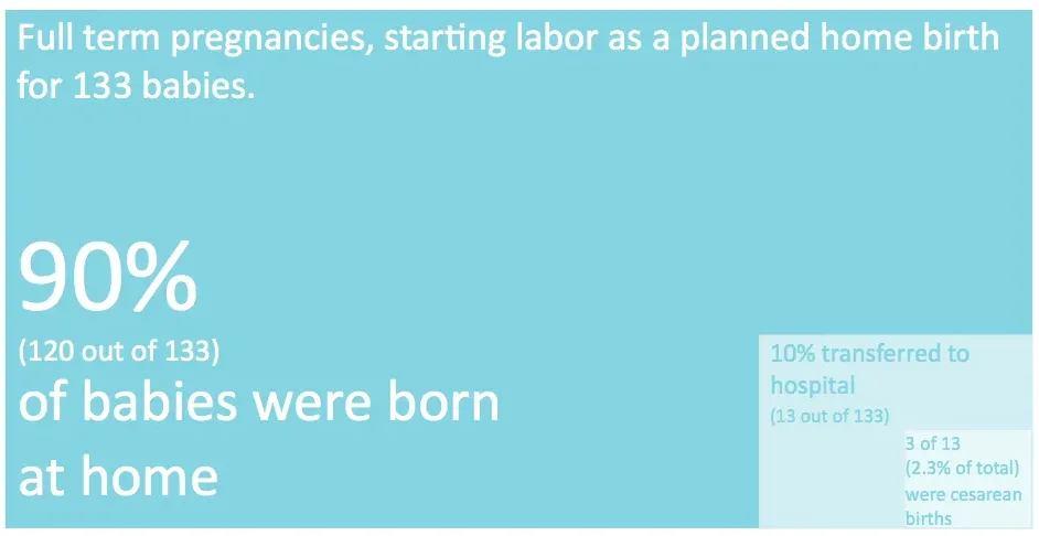 Highlights of Twin Cities Midwifery's Stats through 2016 tcm-graph-2-002