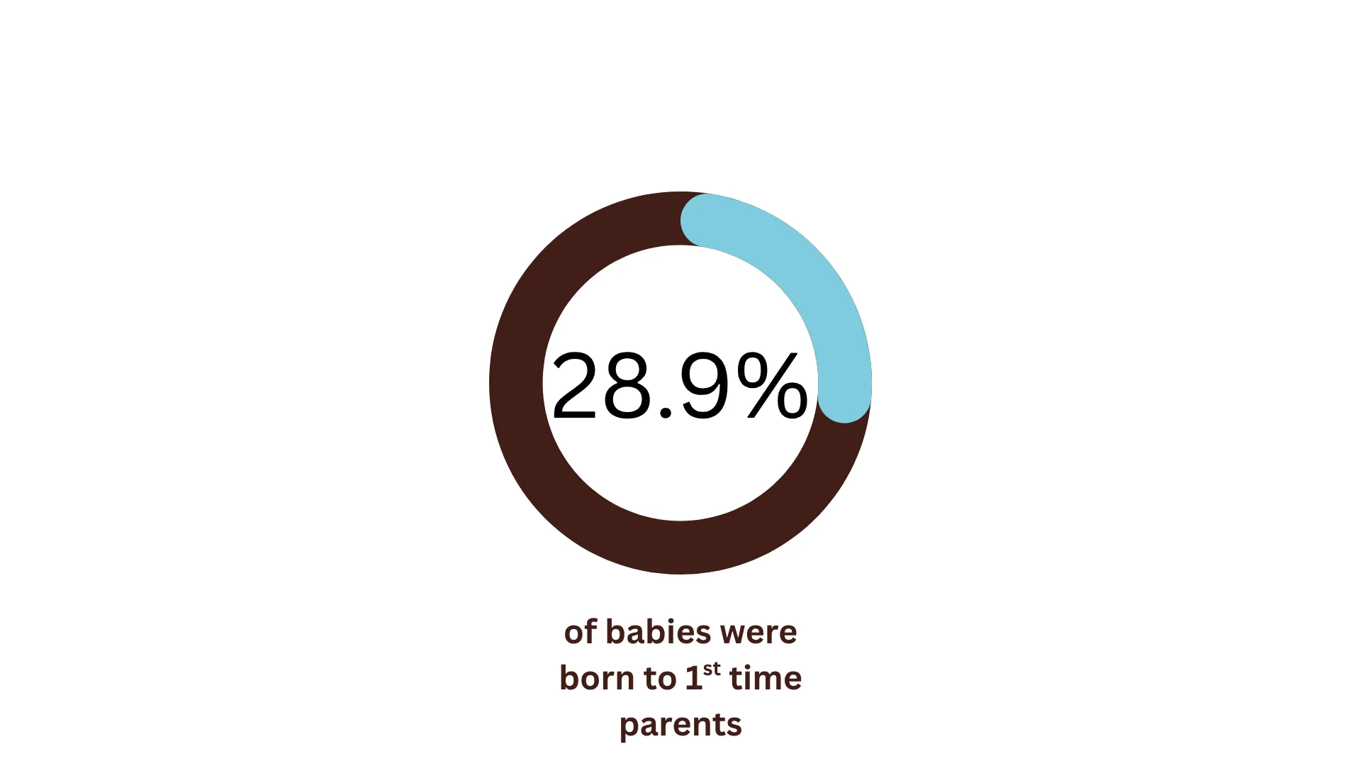 Twin Cities Midwifery’s Cesarean Rate and other Statistics through December 2025 A donut chart shows 28.9% of babies were born to first-time parents. Brown indicates non-first-time; blue shows first-time parents.