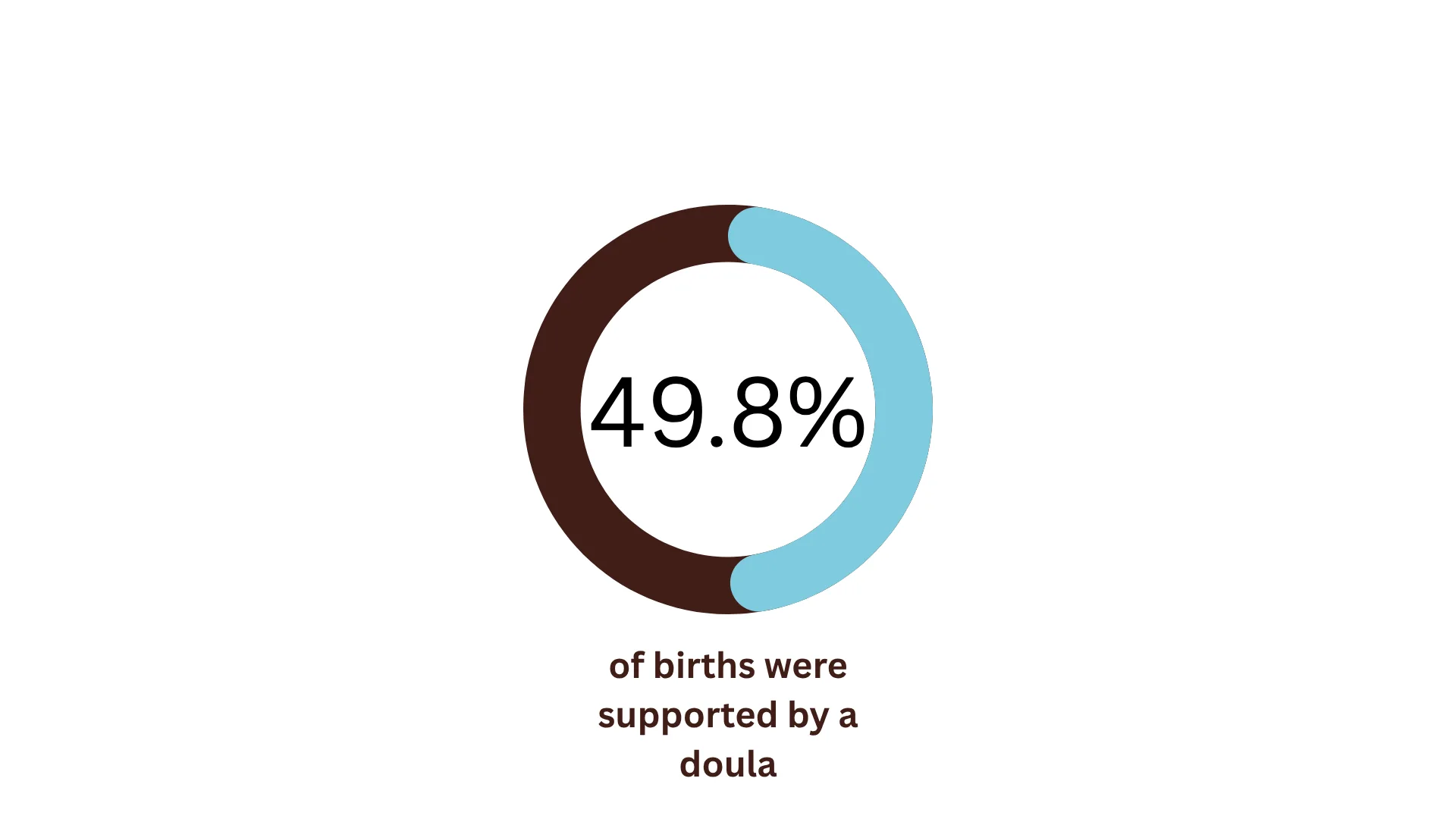Twin Cities Midwifery’s Cesarean Rate and other Statistics through December 2025 A donut chart shows 49.8% of births were supported by a doula.
