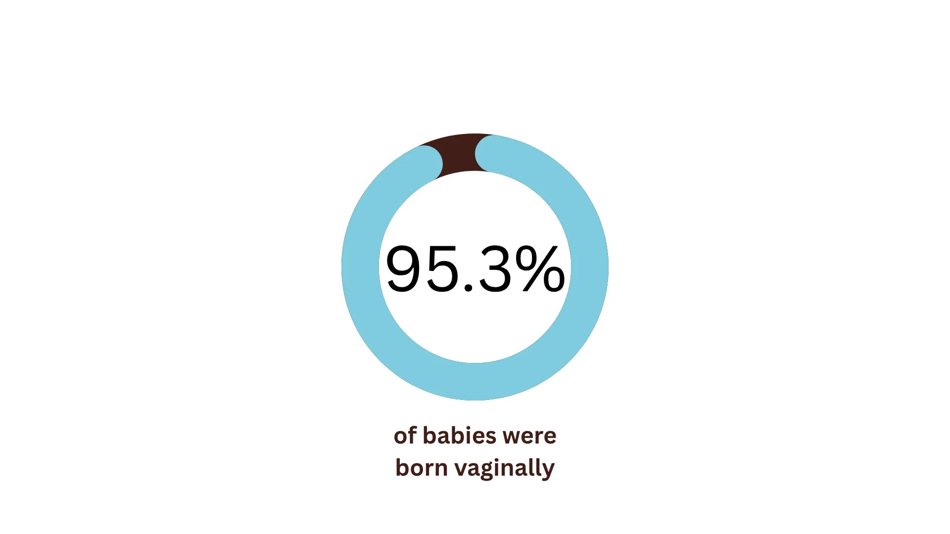 Twin Cities Midwifery’s Cesarean Rate and other Statistics through December 2025 A blue circular chart shows 95.3% of babies were born vaginally, with the percentage displayed in the center.